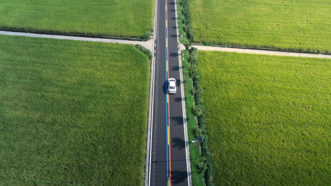 乡村振兴 乡村公路 美丽稻田 新农村建设