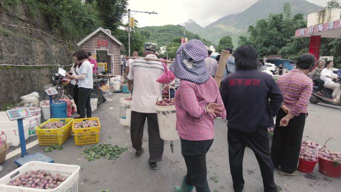 丰收节果农赶集