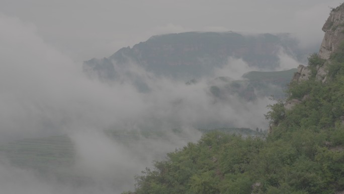 清晨雨后山间雾气