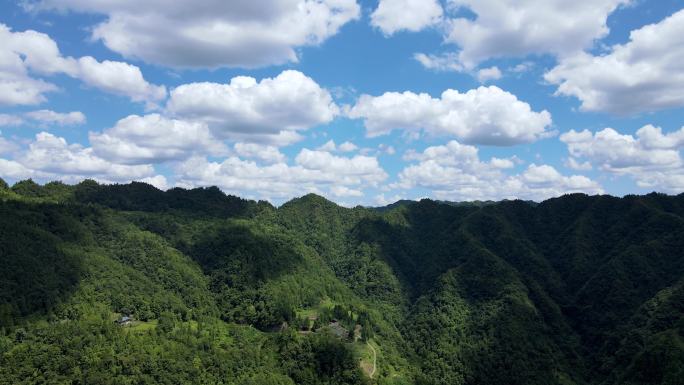 山区原始深林航拍