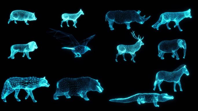 12款动物合集全息投影