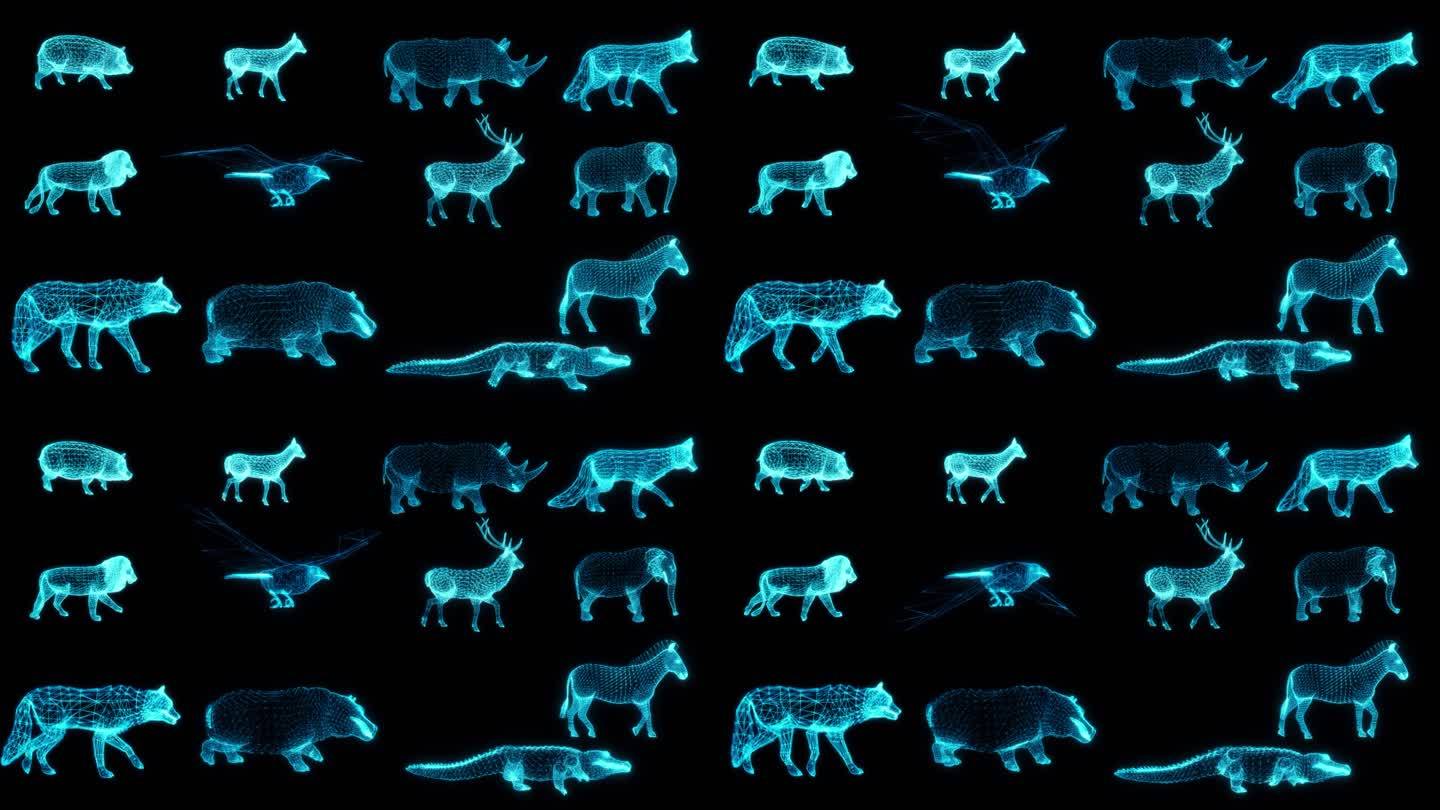 12款动物合集全息投影