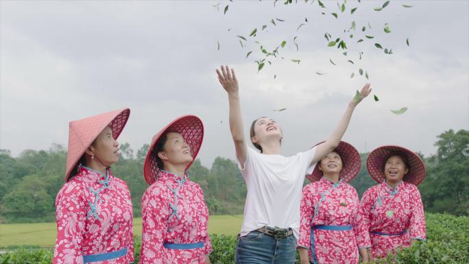 采茶姑娘茶农撒茶叶