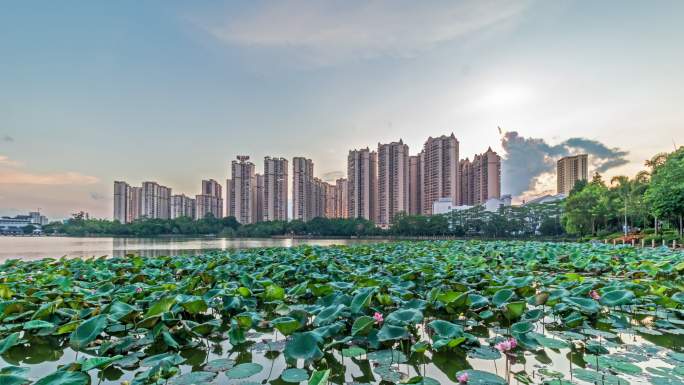 贵港东湖公园日转夜延时