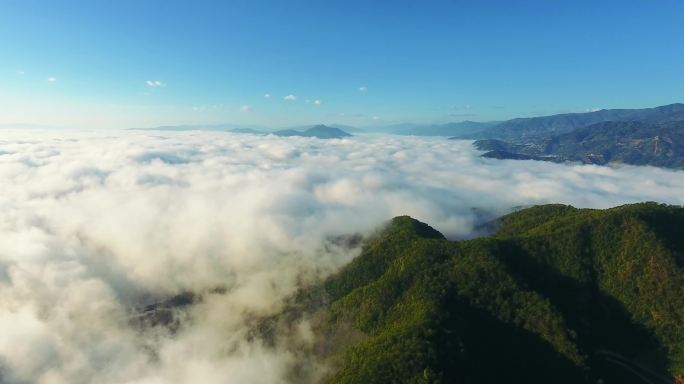 临沧冰岛湖 云雾茶山 勐库茶山