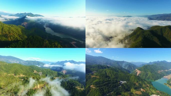 临沧冰岛湖 云雾茶山 勐库茶山