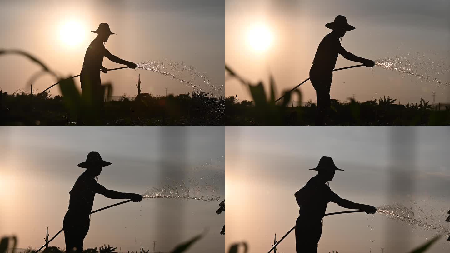 夕阳下农民劳动灌溉浇水剪影