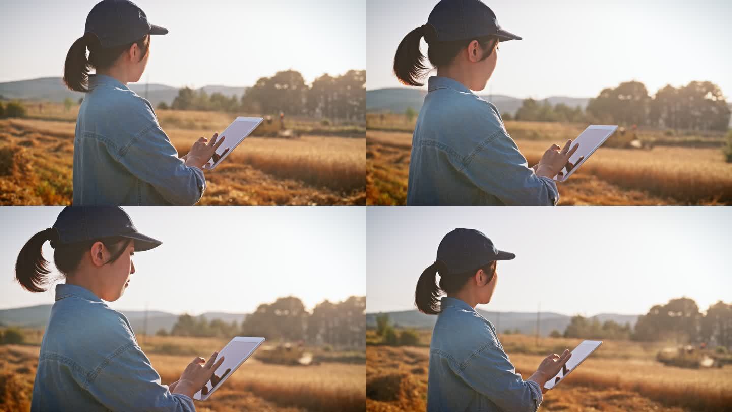 年轻女农民使用数字平板电脑在农田远程控制联合收割机