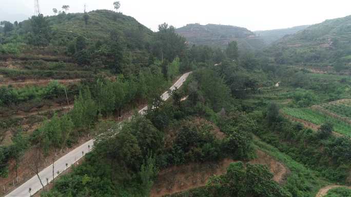 花椒种植乡村振兴农业种植航拍