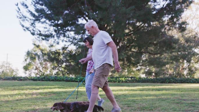 高级已婚退休夫妇在公园遛狗