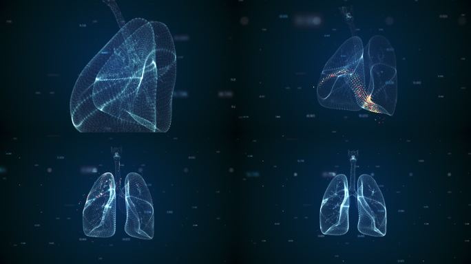 全息扫描仪肺部扫描特效肺部轮廓