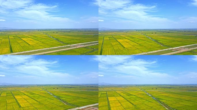 广袤平原大地粮食产区灌区农业