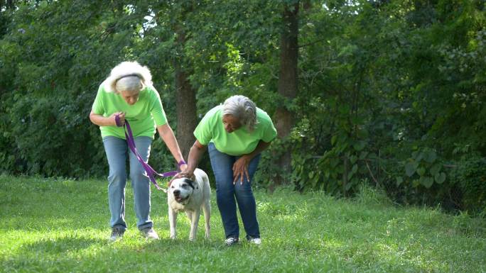 两名老年妇女在宠物收容所自愿遛狗
