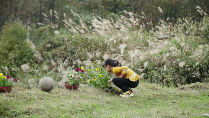 一个小女孩 花和蝴蝶