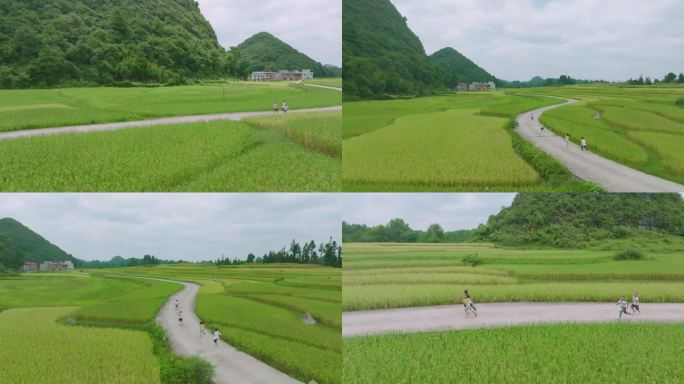 秋收孩子稻田奔跑