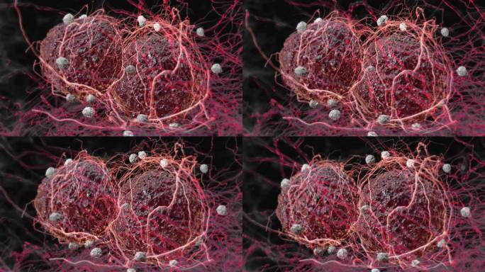 癌细胞白血病细胞医疗科研细胞神经细胞