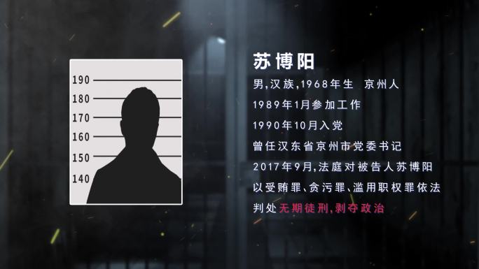 警示教育犯罪嫌疑人简介