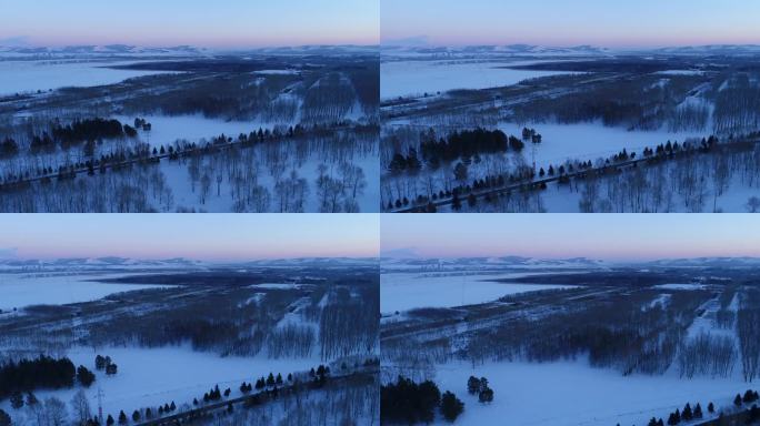内蒙古牙克石市郊外雪原树林