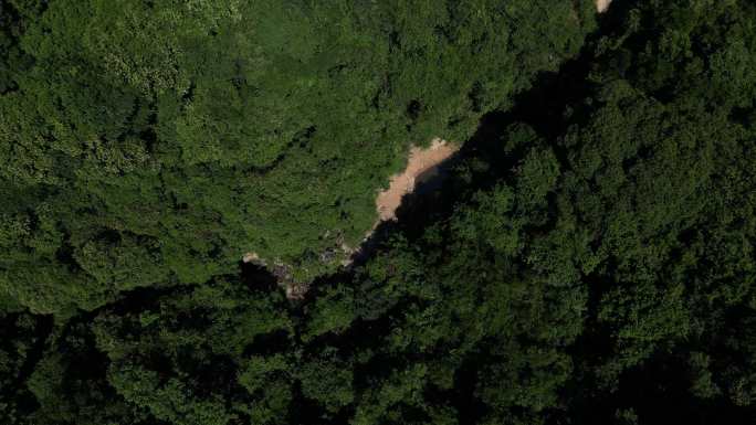 俯视大地俯瞰青山丛林探秘