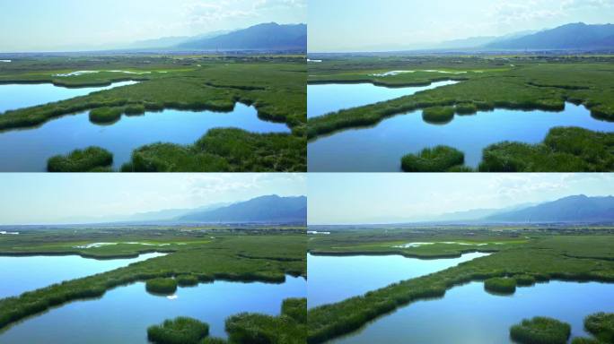 山脉-大地-湖泊-湿地生态