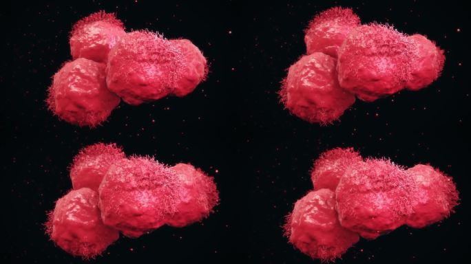 癌症和恶性细胞细胞癌变扩散突变