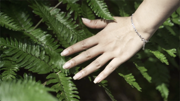 女孩手抚摸大树女孩手抚摸蕨类植物指缝阳光