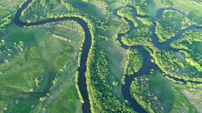 航拍湿地丛林河湾