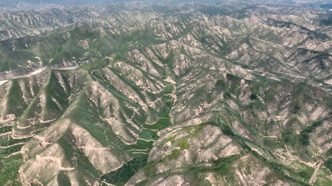 沟壑纵横地貌与绿色植物