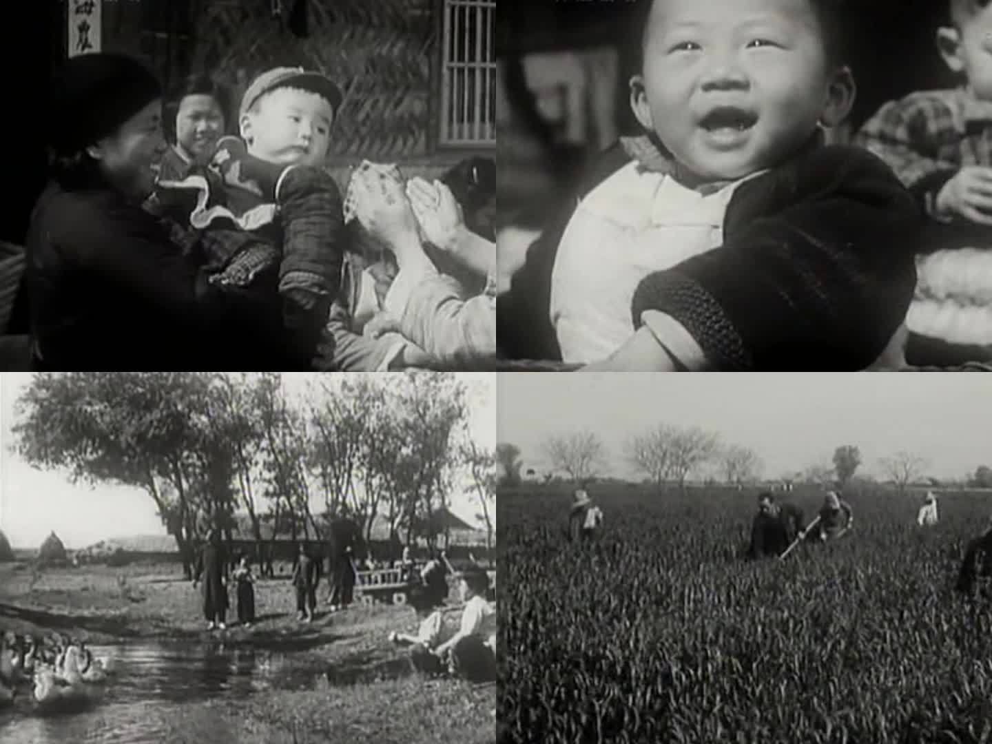 50年代的农村劳动影像