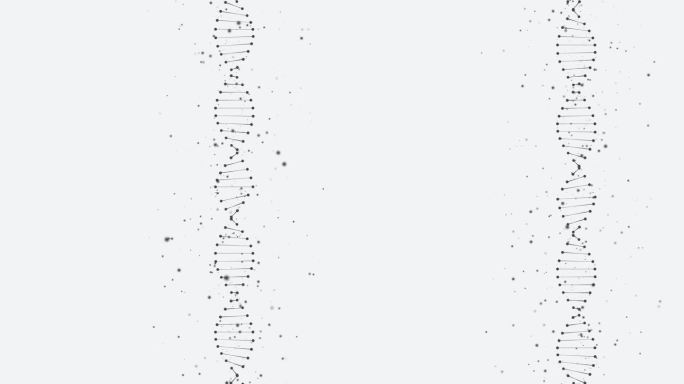 旋转DNA发光分子的动画