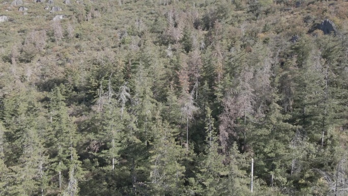 苍山山川湖海森林航拍