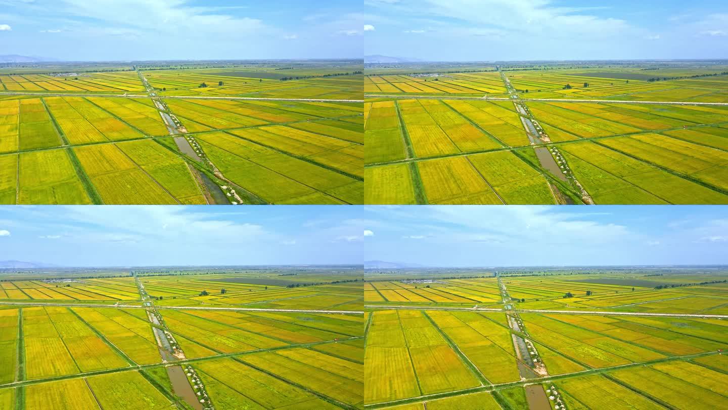 粮食产区灌区-广袤平原大地