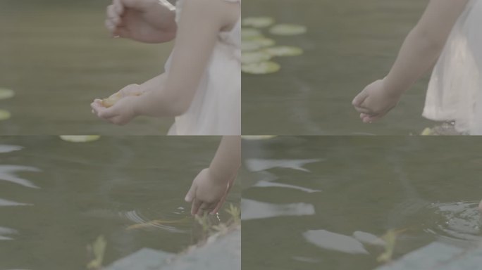 小女孩在水边放生小金鱼