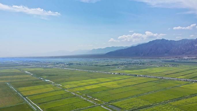 广袤平原大地粮食产区灌区种植