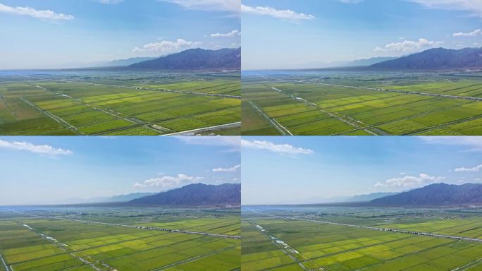 广袤平原大地粮食产区灌区种植