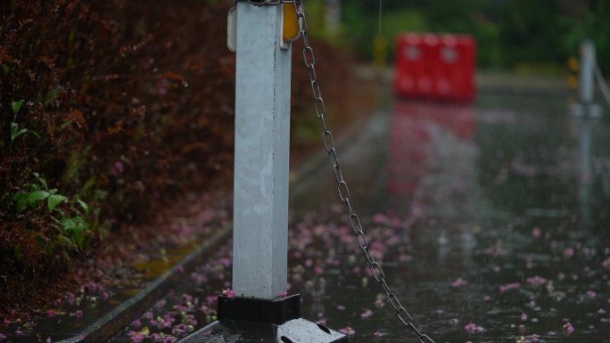 雨天路面