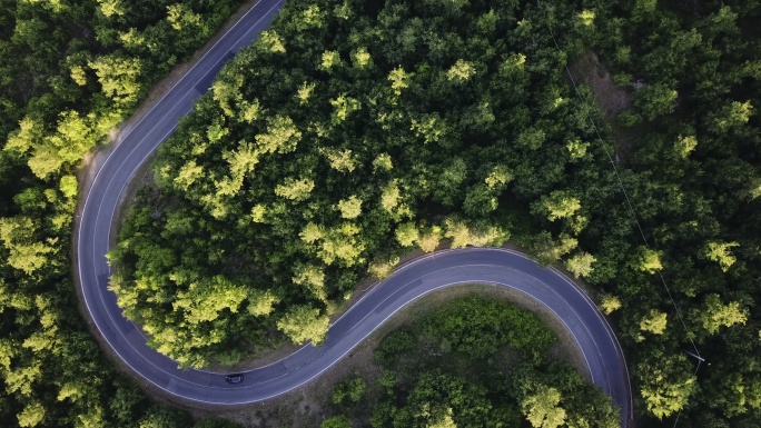 穿越森林的公路旅行-空中视角