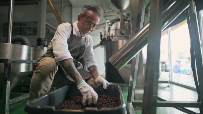 一名亚裔中国高级工匠，在他的工厂里收集和检查从冷却过程中旋转出来的烤咖啡豆，并将其扔进桶中