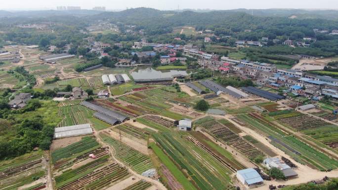 航拍花圃种植基地