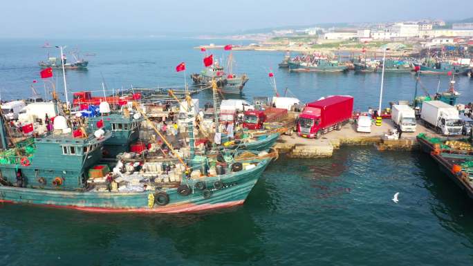 航拍青岛西海岸休渔期结束码头渔船捕捞归来