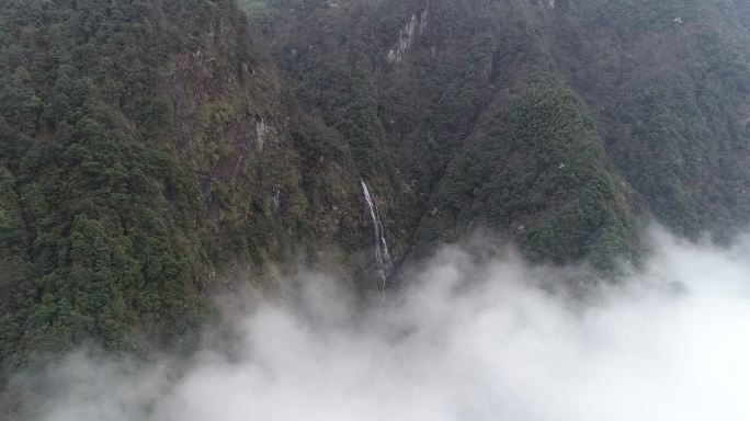 宜春明月山云海