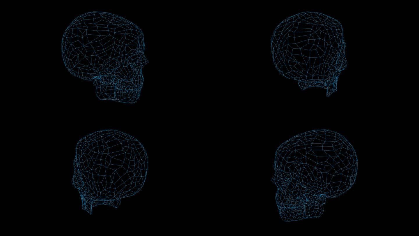 科技线框骷髅头 头骨