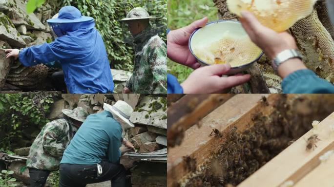 蜜蜂 蜂蜜 蜂箱 养蜂人