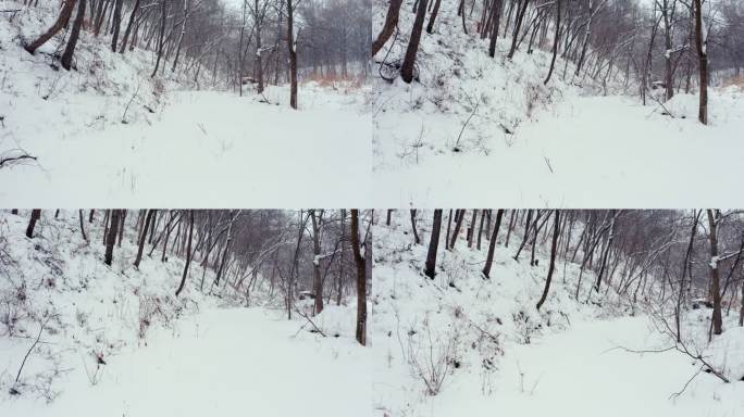 苏子河源头 冰雪 严冬