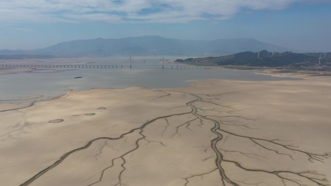 鄱阳湖二桥及抽象生命之树航拍视频