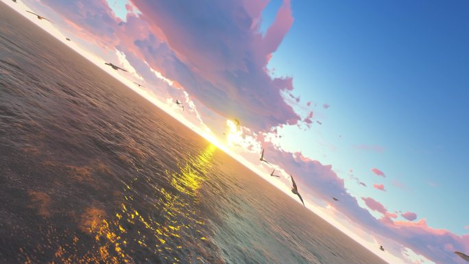 蓝天大海海鸥朝阳日出夕阳素材集合