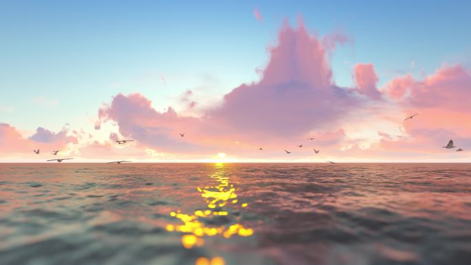 海鸥海面迎着太阳飞翔穿梭多镜头组合素材