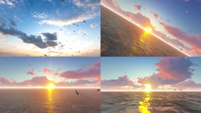 蓝天大海海鸥飞翔多镜头组合素材