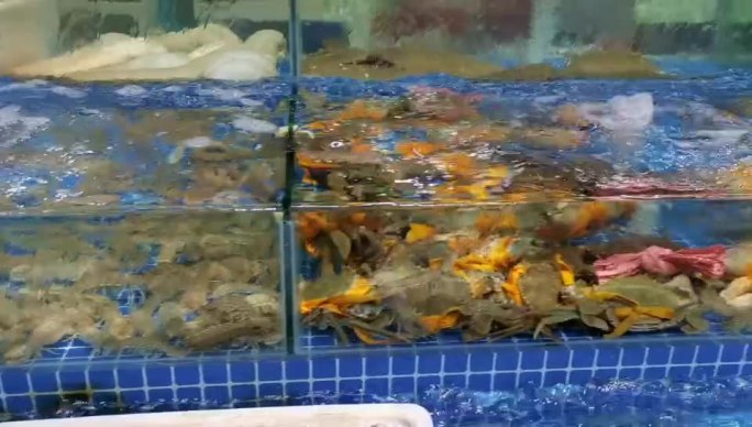 杭州市城市厨房售卖的海鲜水产