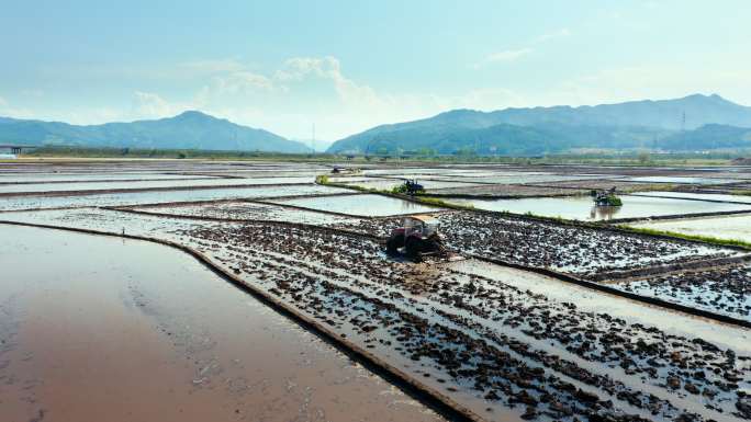 春播 稻田 机械化耕种 美丽中国